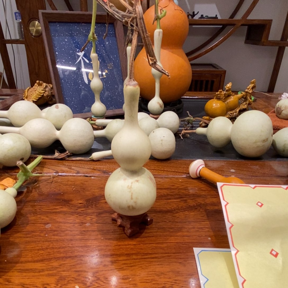 九***七青皮不包成不退不换