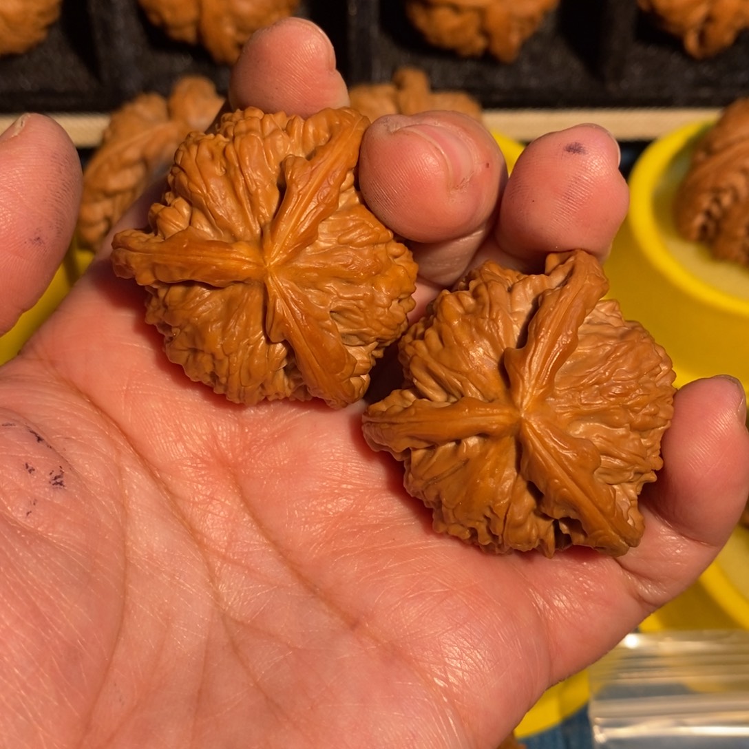 好***人吊坠文玩核桃白狮子