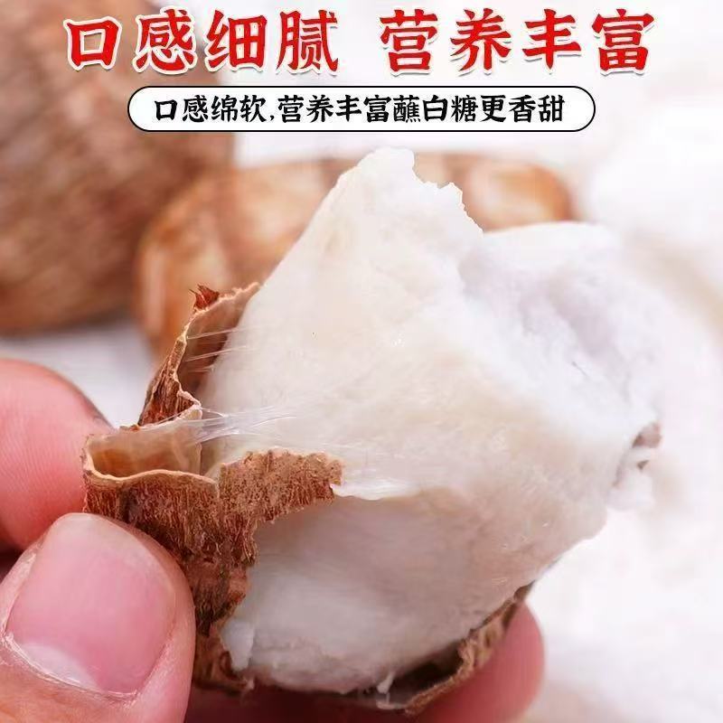 【带泥发货】新鲜云南高山牛奶小芋头软糯香甜现挖产地直发20-50g