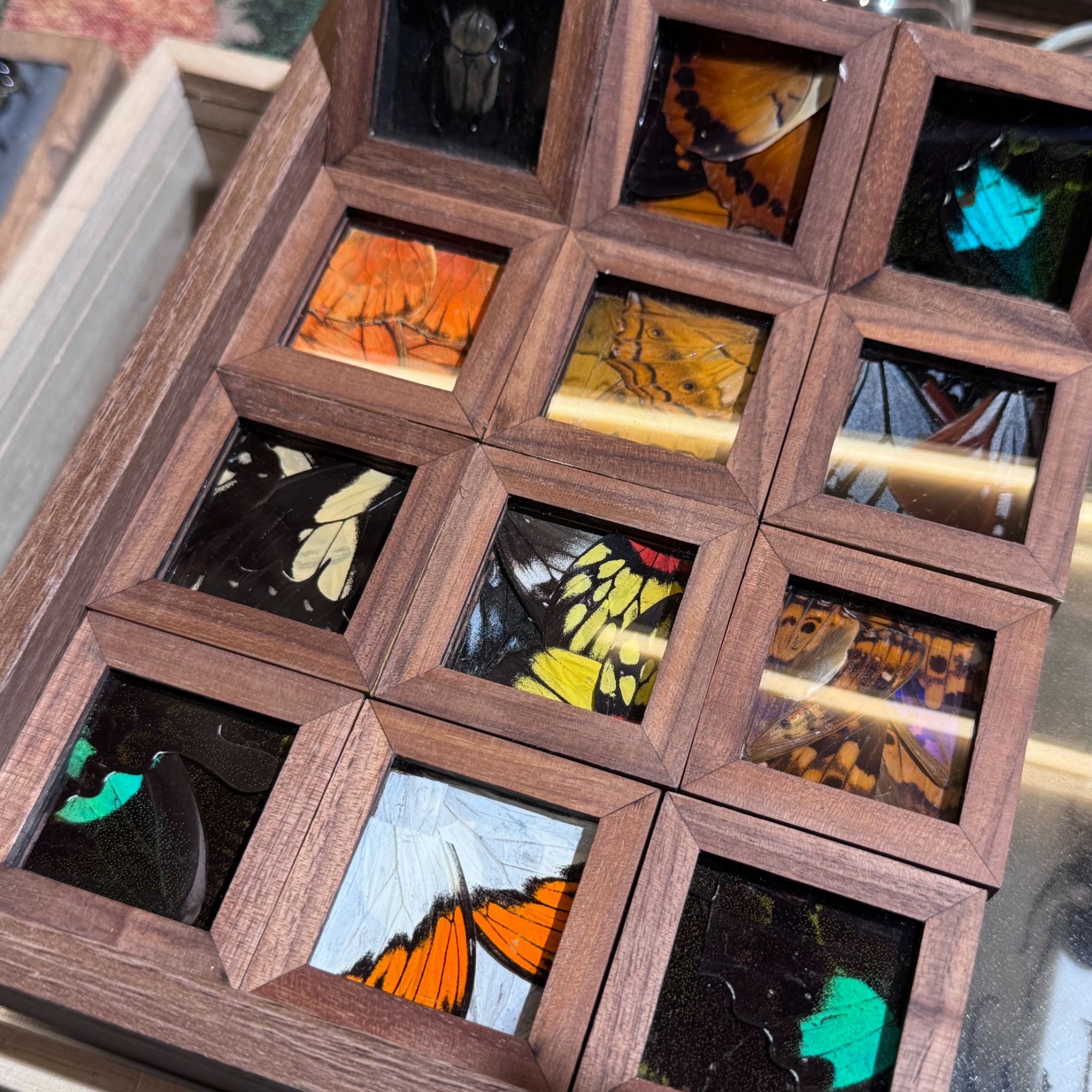 胡桃木蝶翅冰箱贴手工制作5x5cm（盲盒2枚）礼物送人