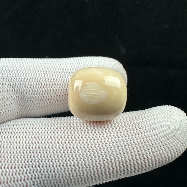 K5808天然猛犸 桶珠15.8*16.2mm 支持鉴定假一罚十
