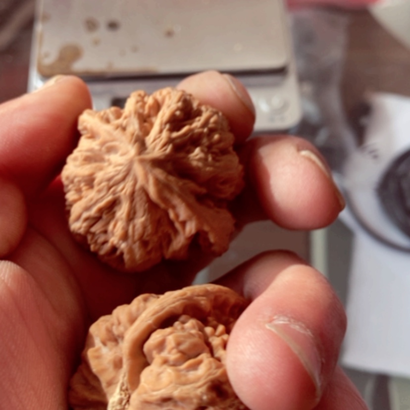 【闪购商品】李**想41尺寸全品无修大粗筋