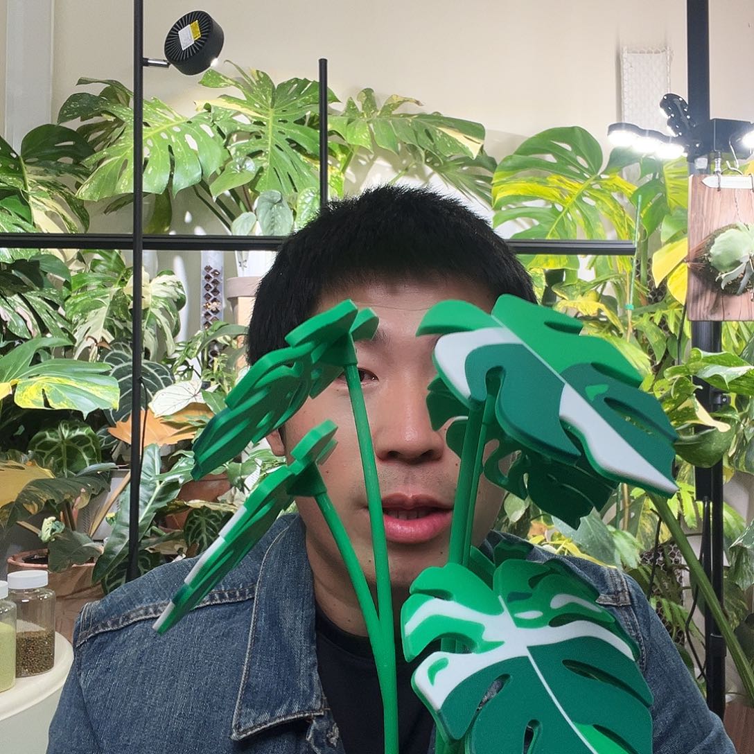 木3d打印龟背竹杯垫