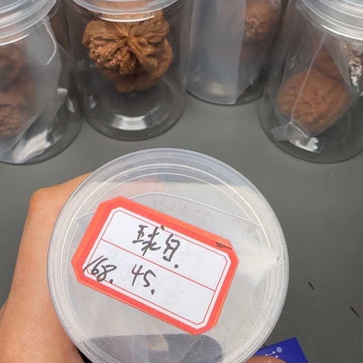 王***川文玩核桃把件43556777788999“