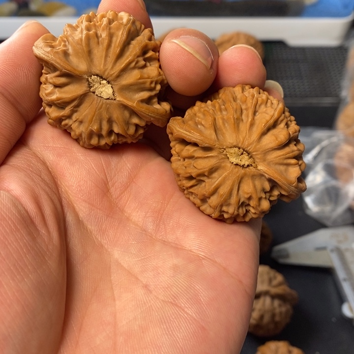 把件桃核357754567888