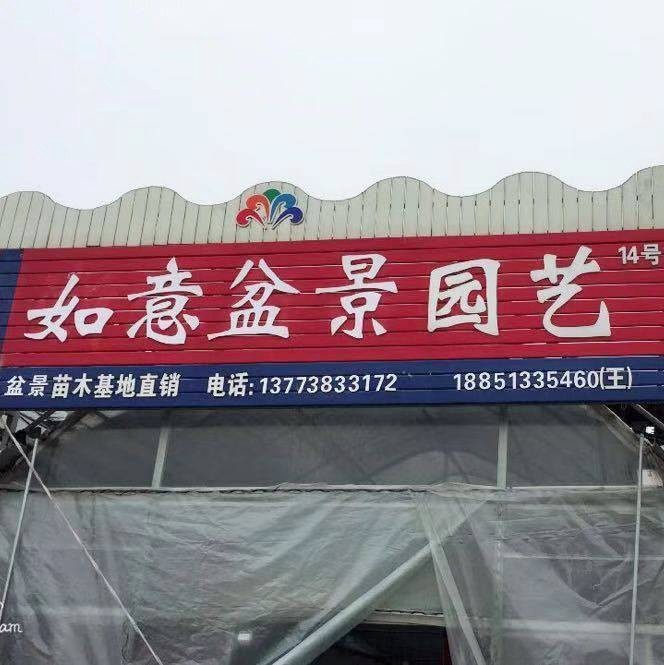 松柏类盆景直播链接（一物一拍，以实物为准）