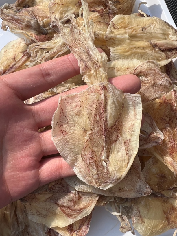 湛江特产 海味干货船晒小号鱿鱼 煲粥炒菜 250g/500g