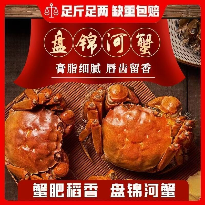 活蟹【盘锦稻田蟹】全母蟹1.1-0.8两/只3斤装 到手28只左右 净重2.5斤 顺丰次日达送货上门死蟹包赔DP