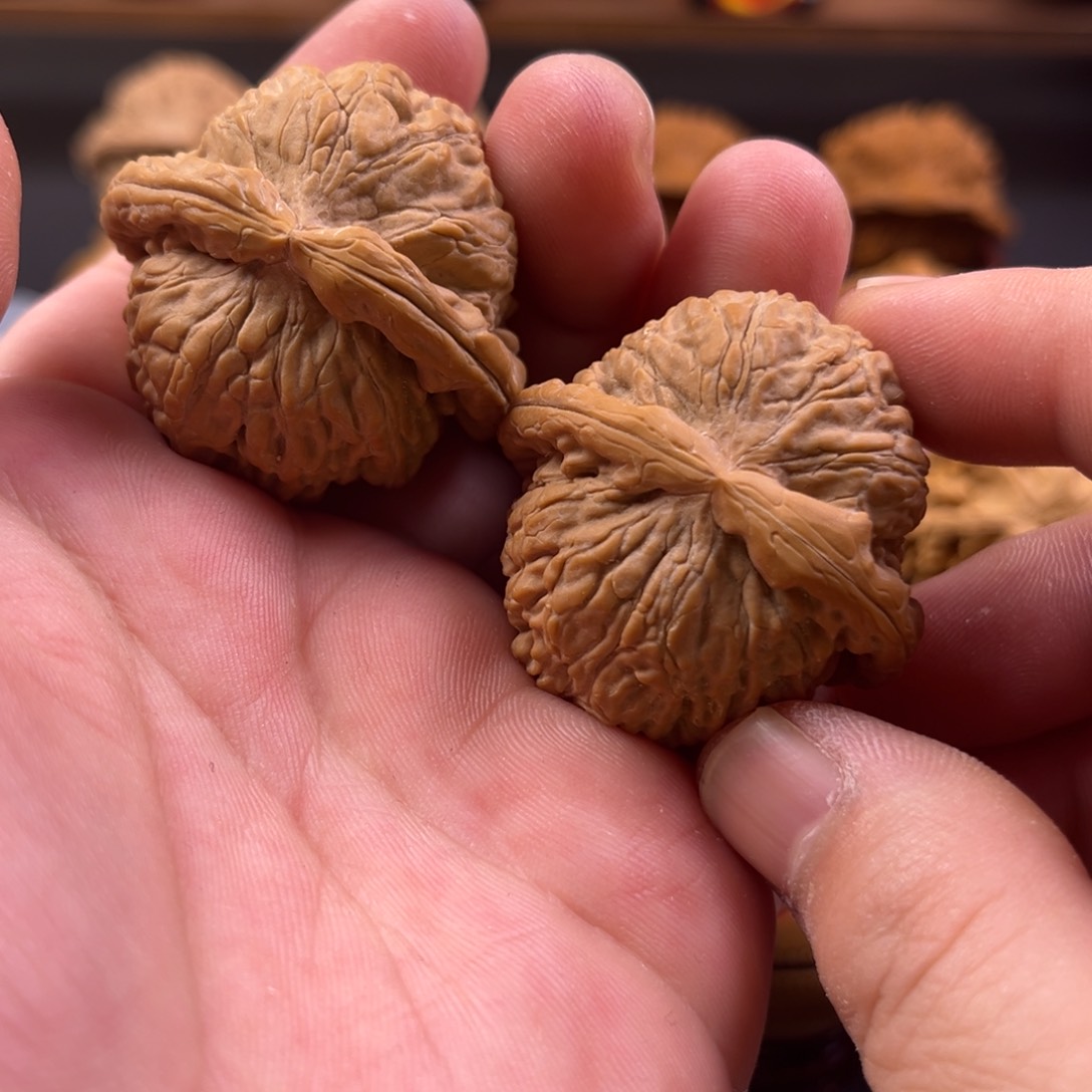 文玩核桃把件三角白狮子