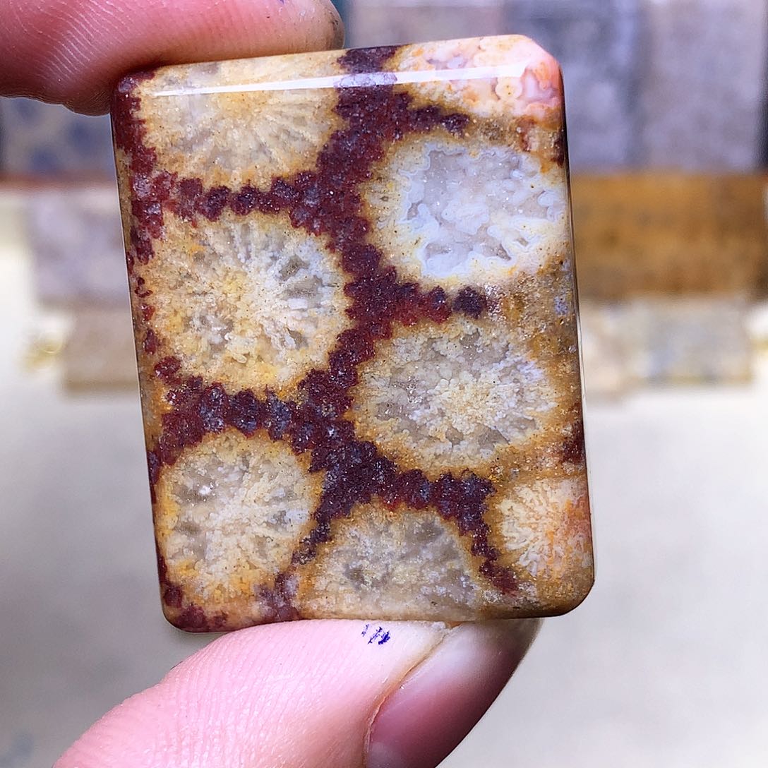 硅化玉珠宝奇石合金诺*宝