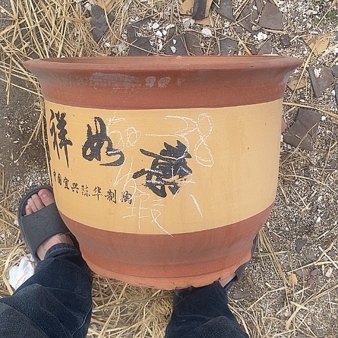 中国宜兴紫砂花盆，