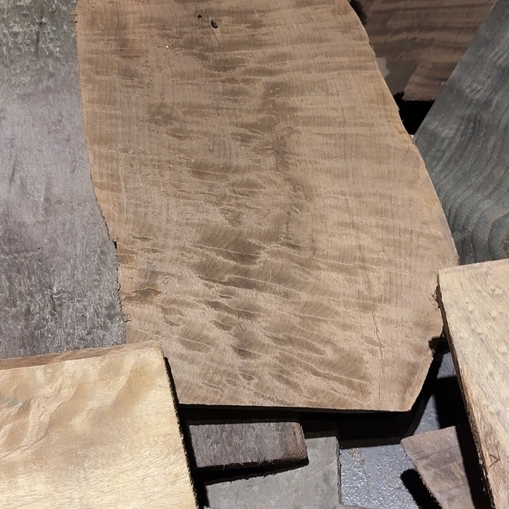 水***)四川小叶金丝楠原材料