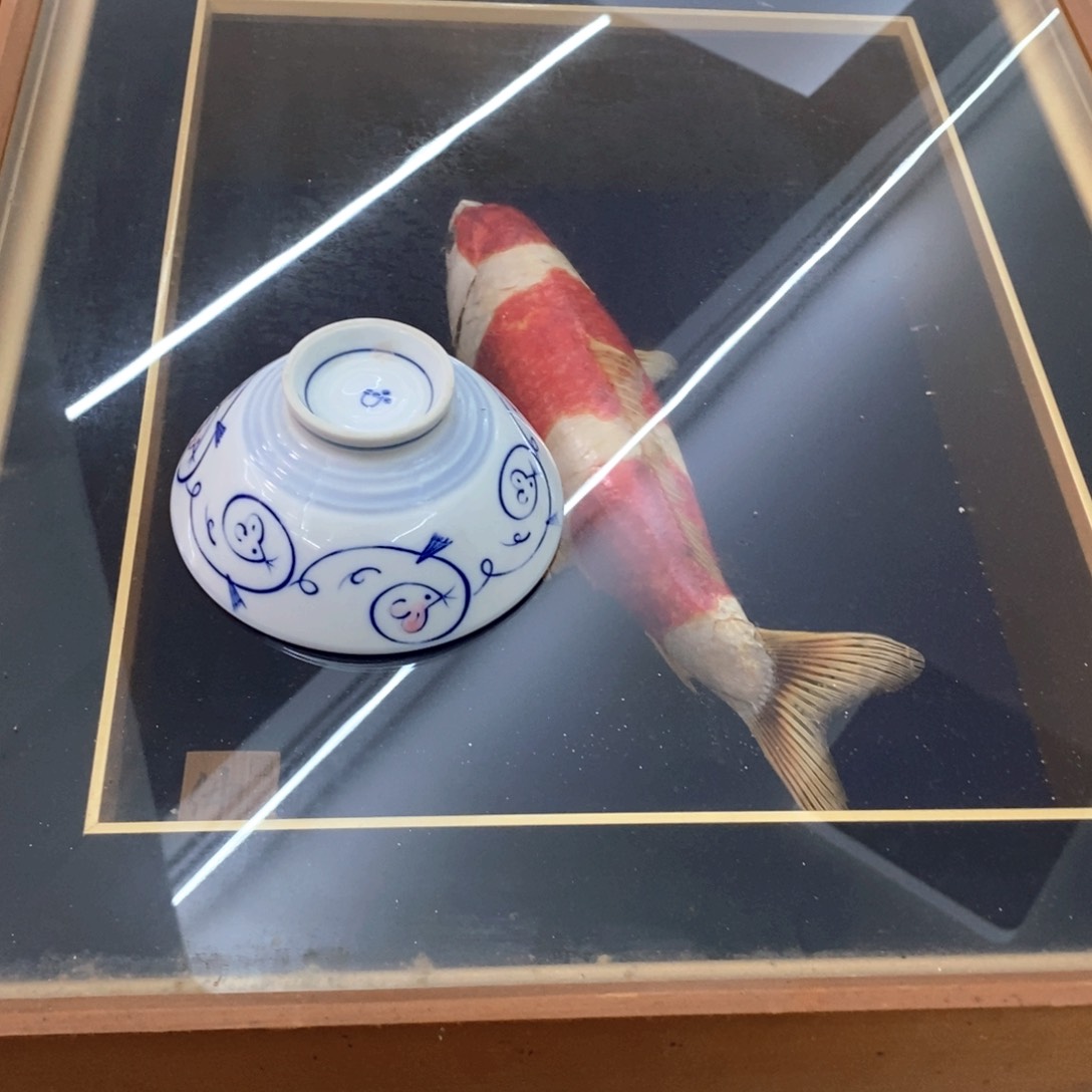 瓷片不哈哈哈哈哈哈哈哈