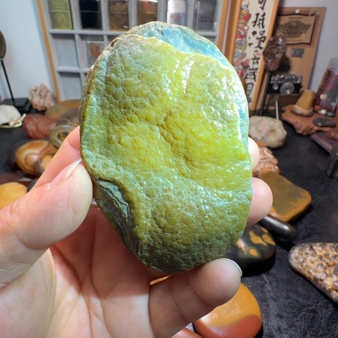 石材马料原石 （鲍鱼肉）