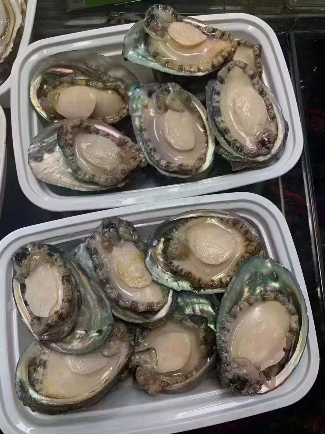 【冬至福利】15头小鲍鱼 涮火锅包饺子 鲜活 30只