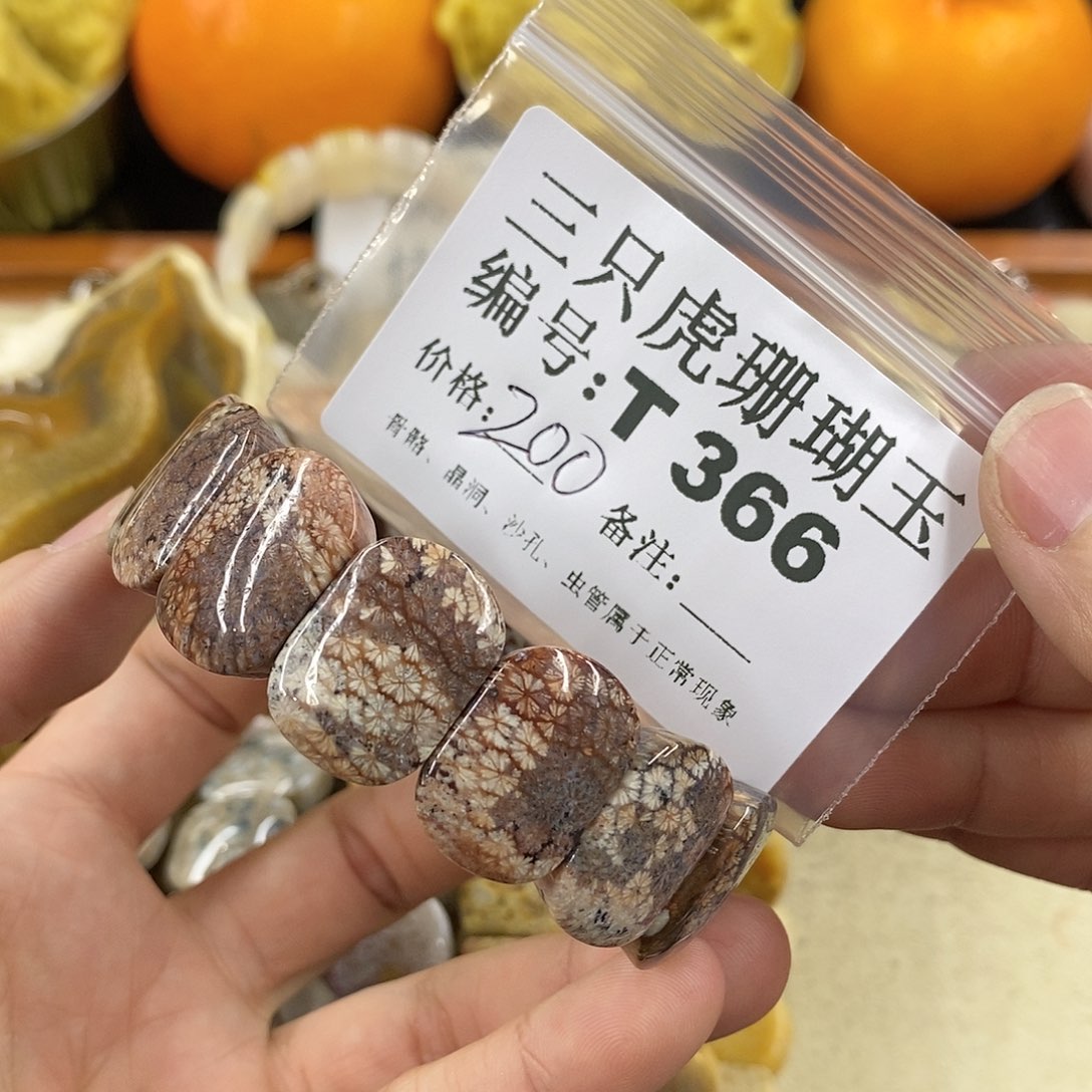 硅化珊瑚（珊瑚玉）1未镶嵌柠**•