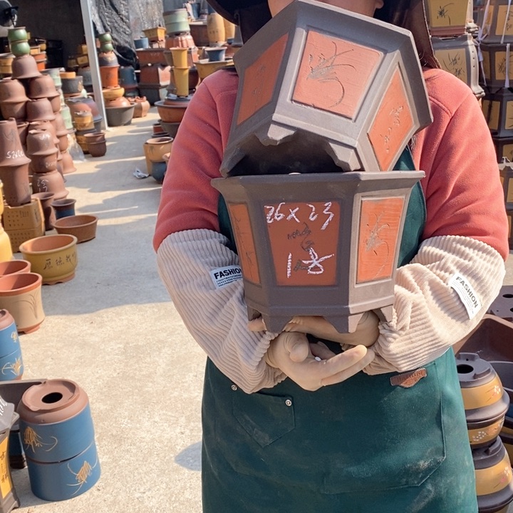 紫砂花盆盆栽花卉苗木种植