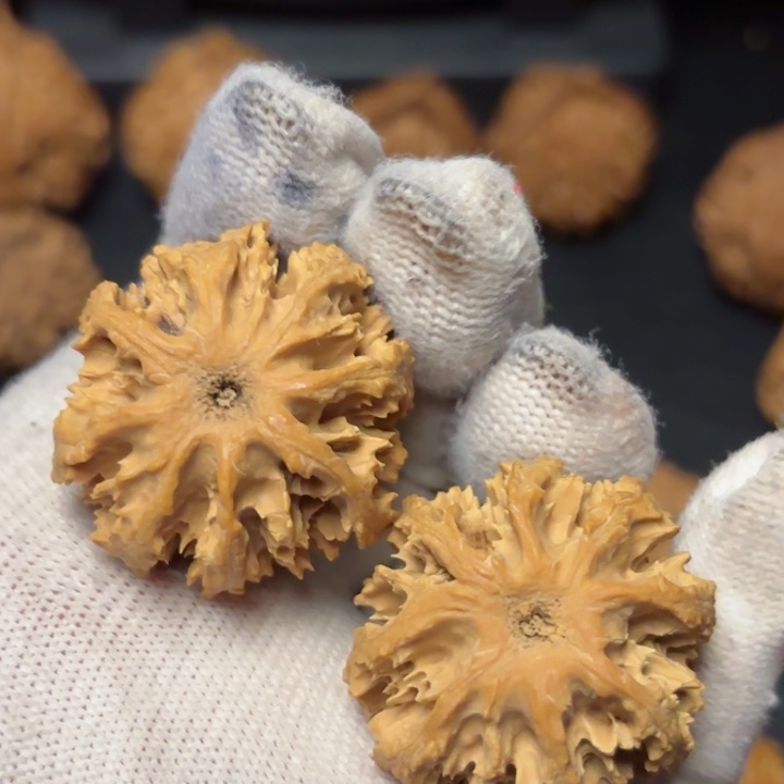 文玩核桃吊坠秦岭灯笼29