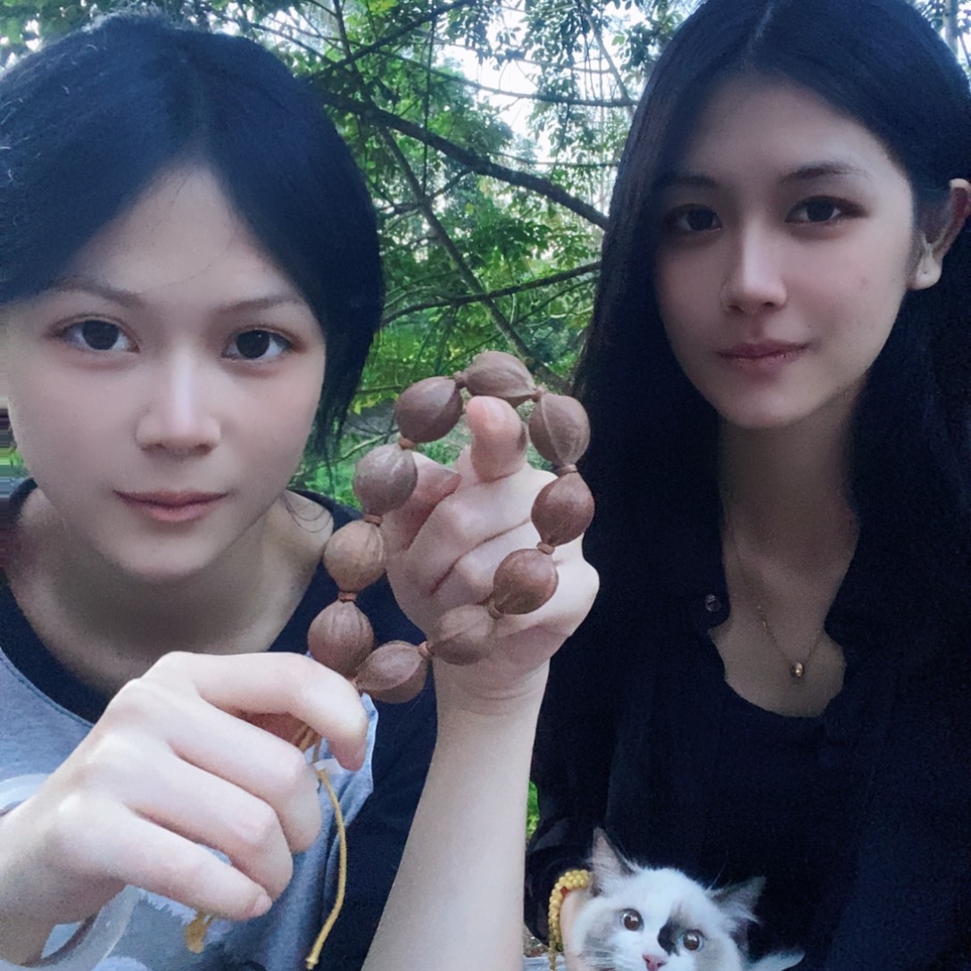 手串橄榄核梅林精品铁核原生态20.25