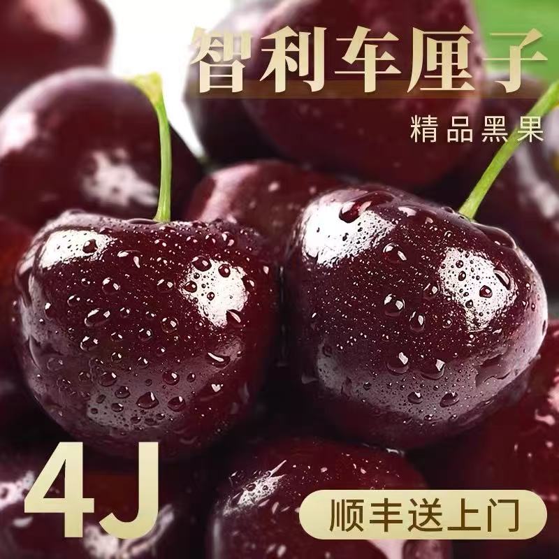 【今天拍明天到】智利进口桑提娜2-4JD车厘子海运顺丰京东2500g内附果径卡桑提娜樱桃智利共和国