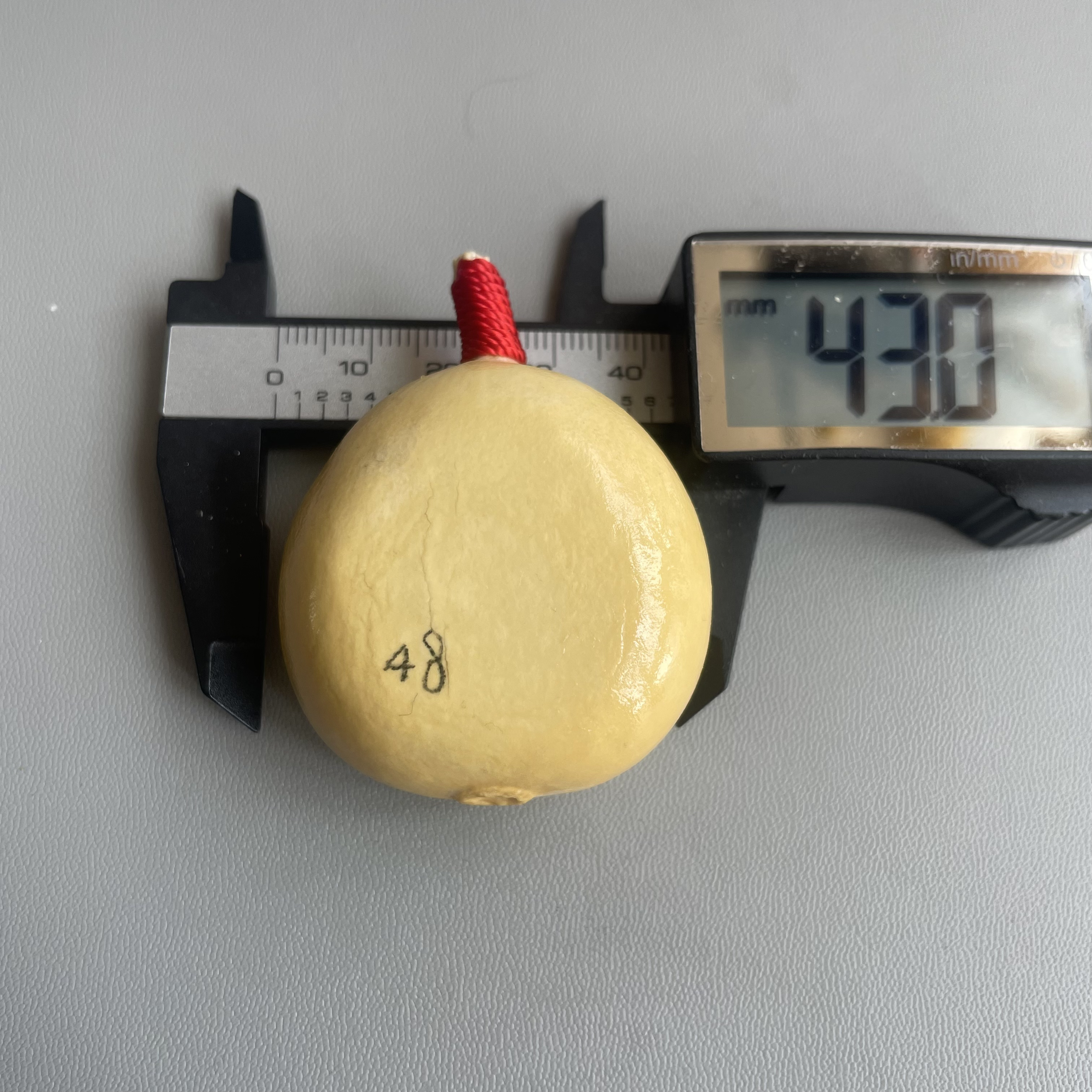 精品葫芦，夹扁葫芦尺寸看图，一物一图，底脐完美