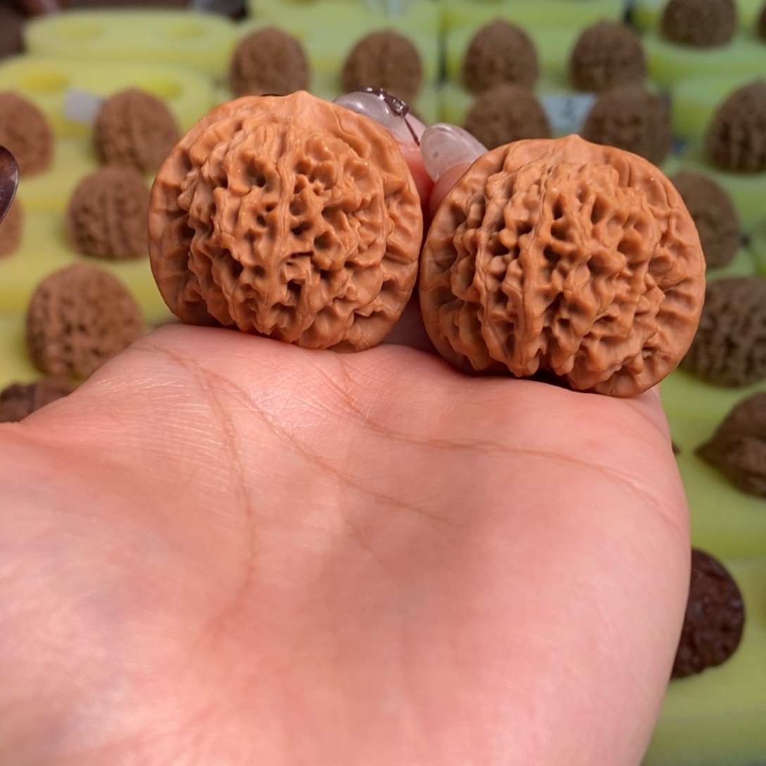 蝶***许核桃秦岭闷尖狮子头35