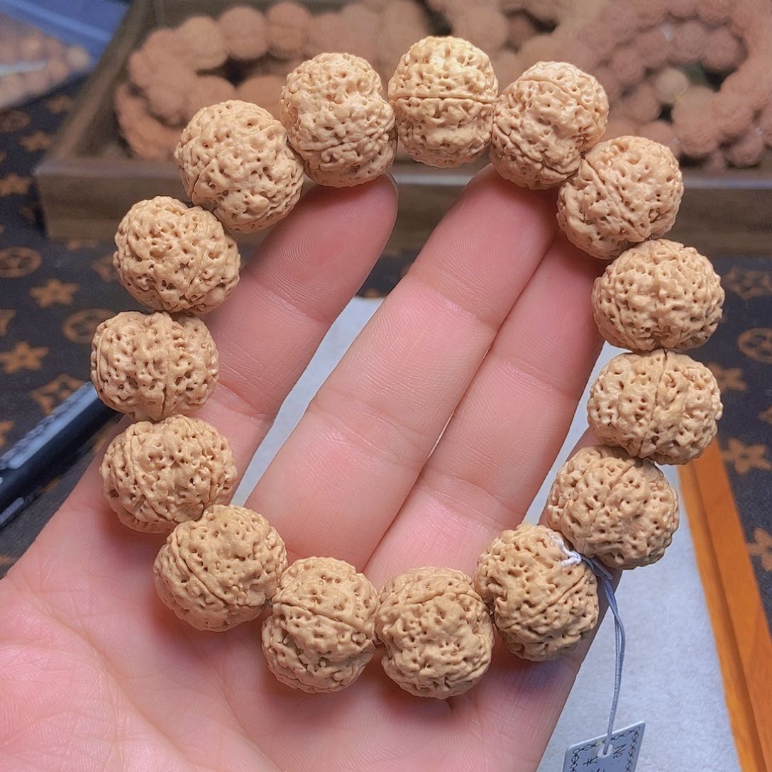 金刚菩提把件5瓣21粗筋双龙