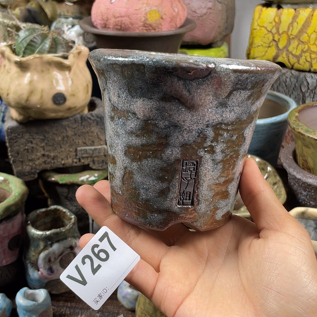 默认微次  限时福利 坛子姐花盆