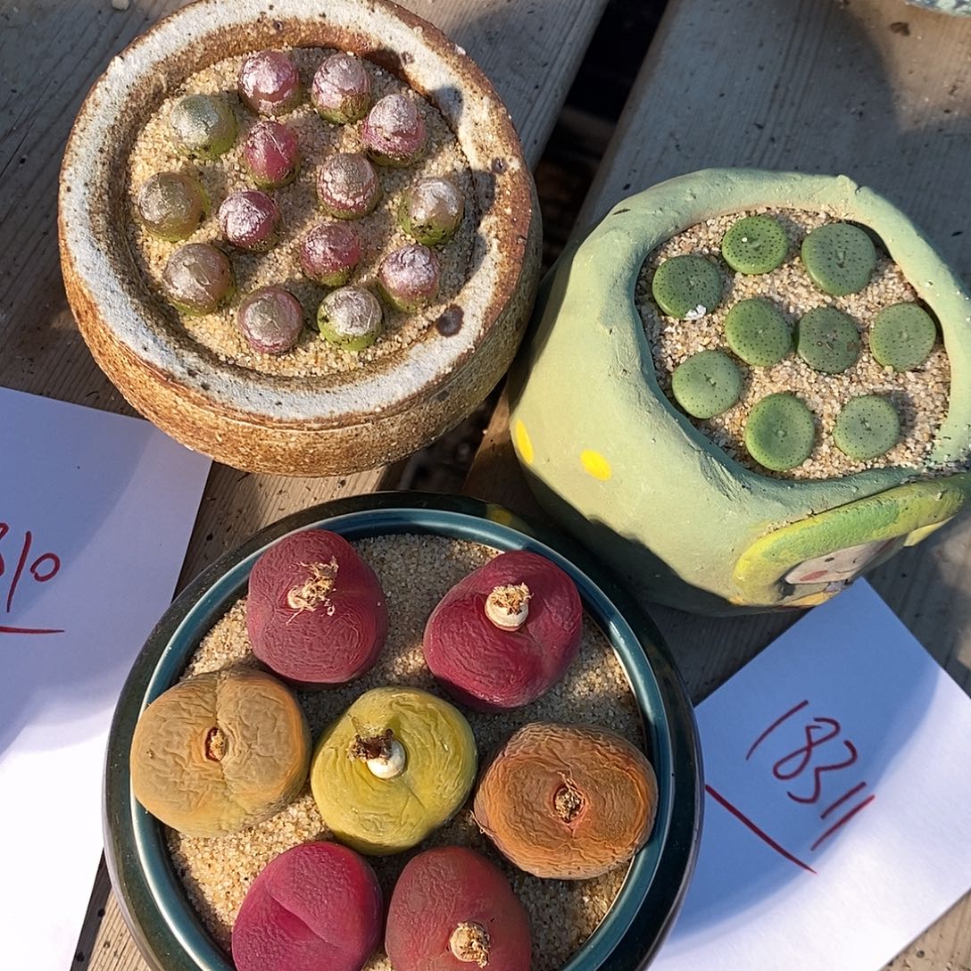 18311。  一组。   一组。  