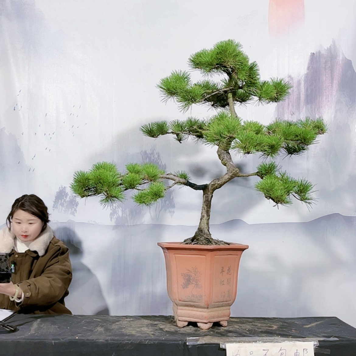 【闪购商品】运费到付