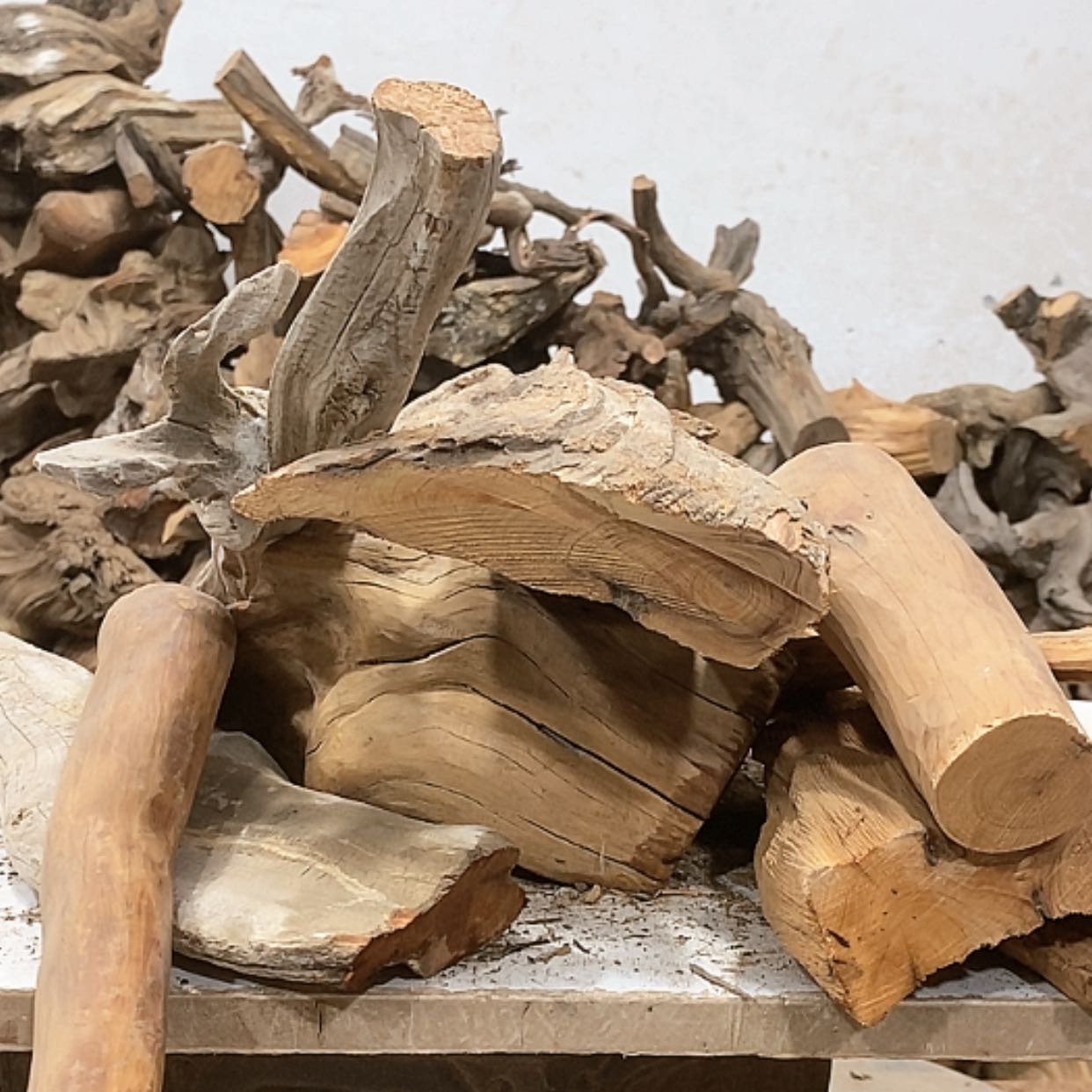 【闪购商品】柏木太**美我们都是好孩子