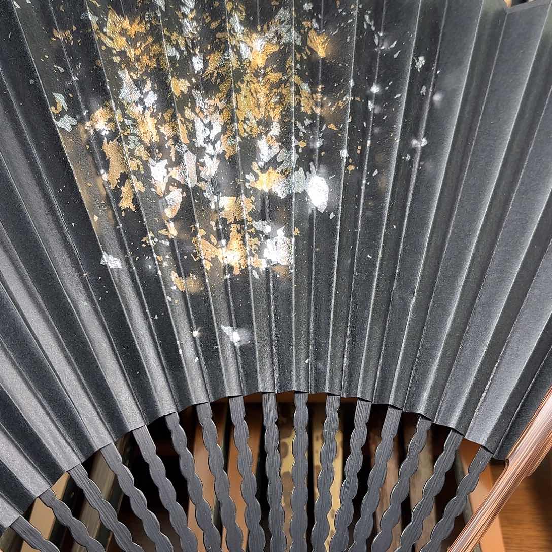 扇子爆炸金龙鳞棕竹