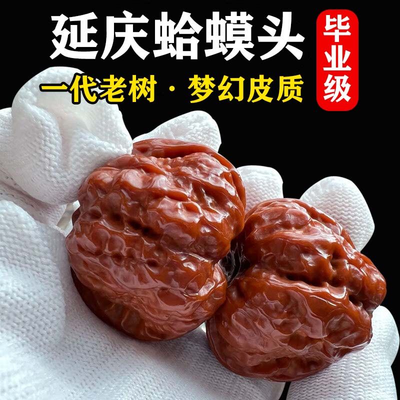 涞水麻核桃直播专用一物一图