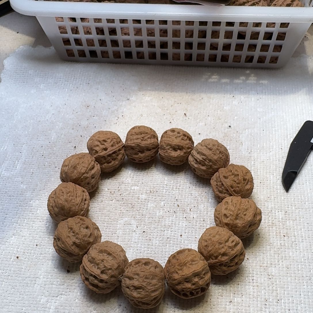 核桃手串/手链24号边24肚26高23