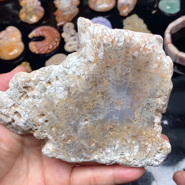 硅化珊瑚（珊瑚玉）手镯未镶嵌