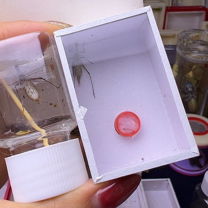 我***风哈哈哈哈哈哈哈哈哈哈哈哈