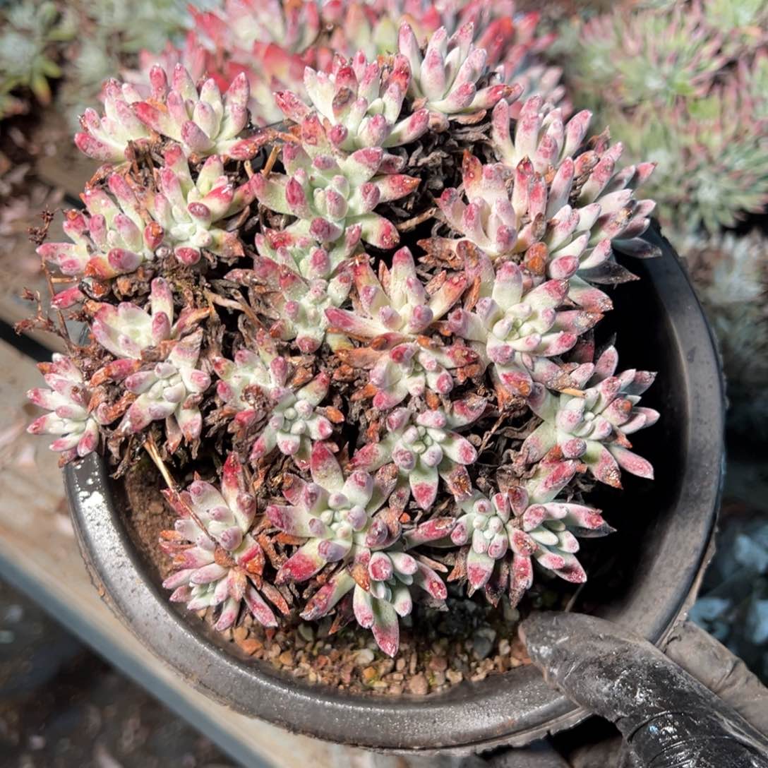 8934哈哈哈哈哈哈哈哈