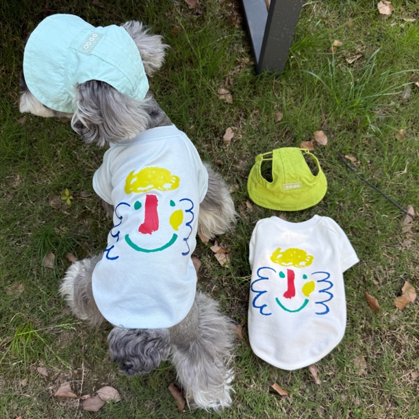 凉感狗狗夏季衣服雪纳瑞比熊泰迪柴犬西高地宠物T恤