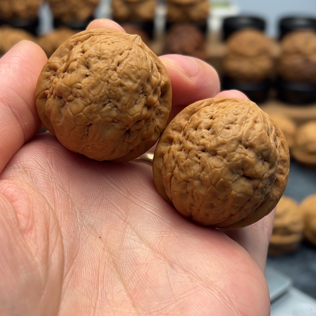 文玩核桃把件铁核桃12-15