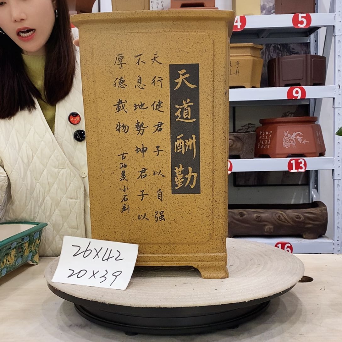 紫砂花盆紫砂花盆