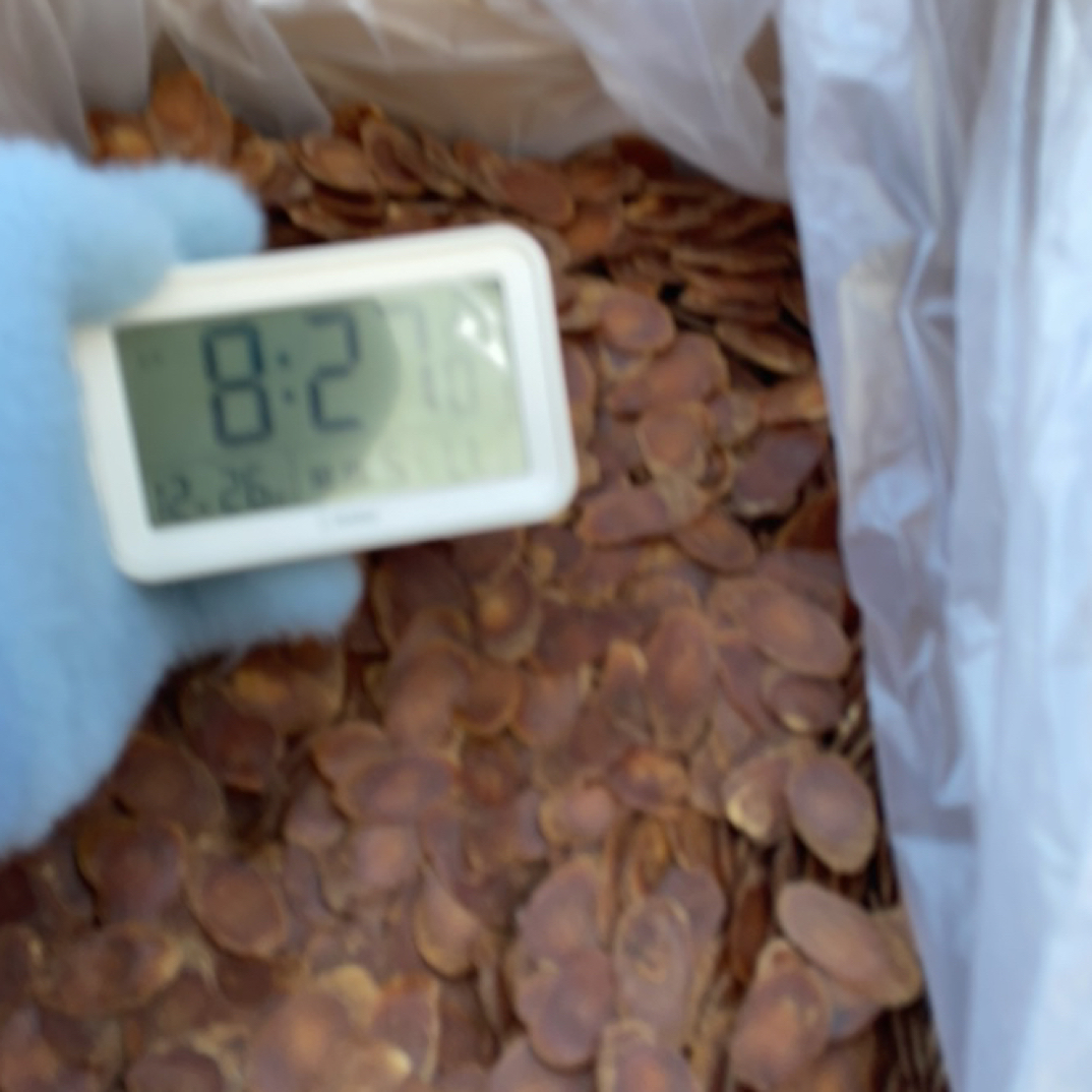 长白山特产红参片2