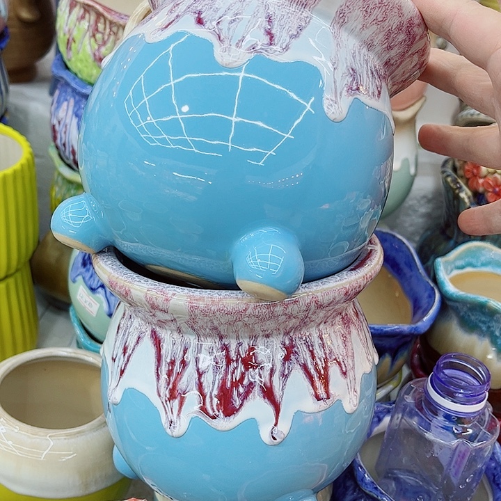 多肉植物陶瓷花盆