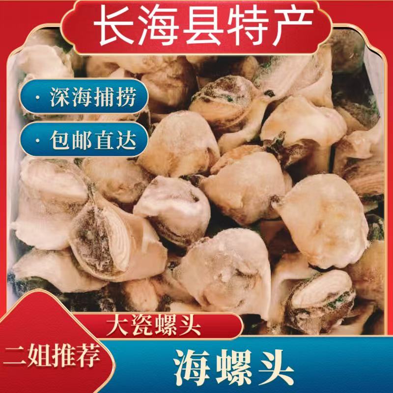 《长海县二姐》大连长海县岛里深海野生海螺头特大/中号