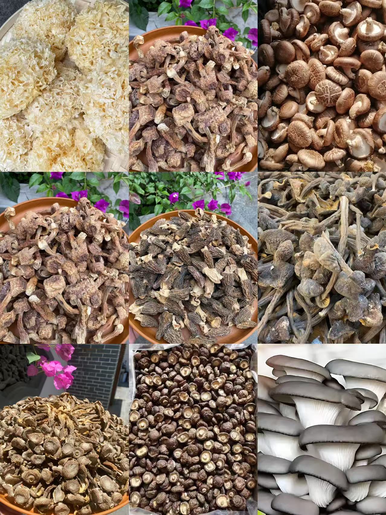 菌子JLFL05重量37克可搭配菌类