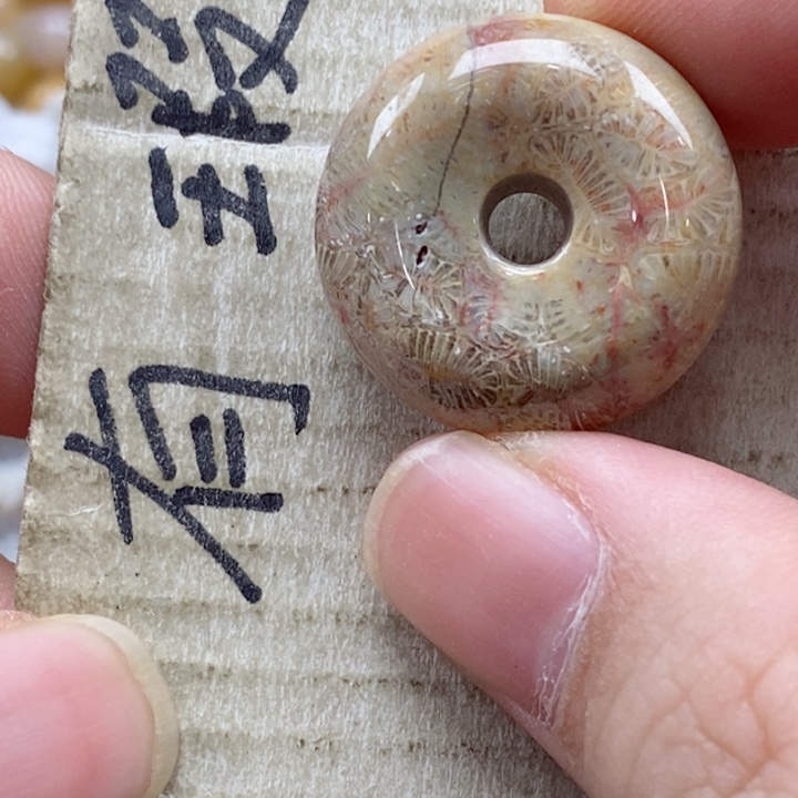 硅化珊瑚（珊瑚玉）颈饰未镶嵌5****3