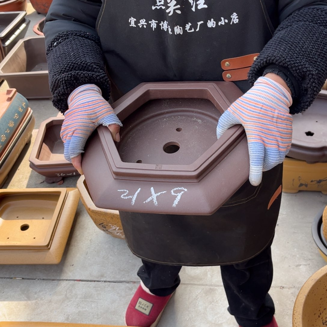 紫砂花盆盆景艺术