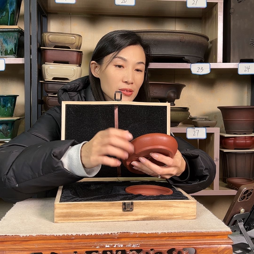 紫砂花盆知****92586369658966699