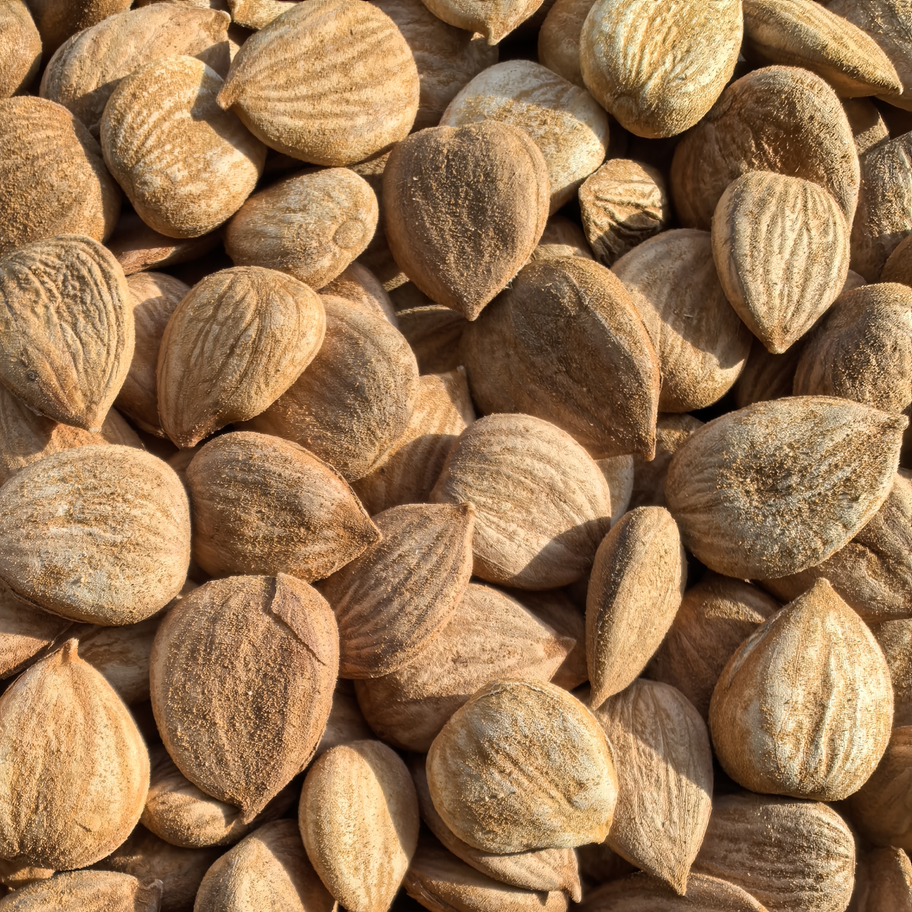 甜生杏仁，（偶尔会有一个苦的下单请谨慎）