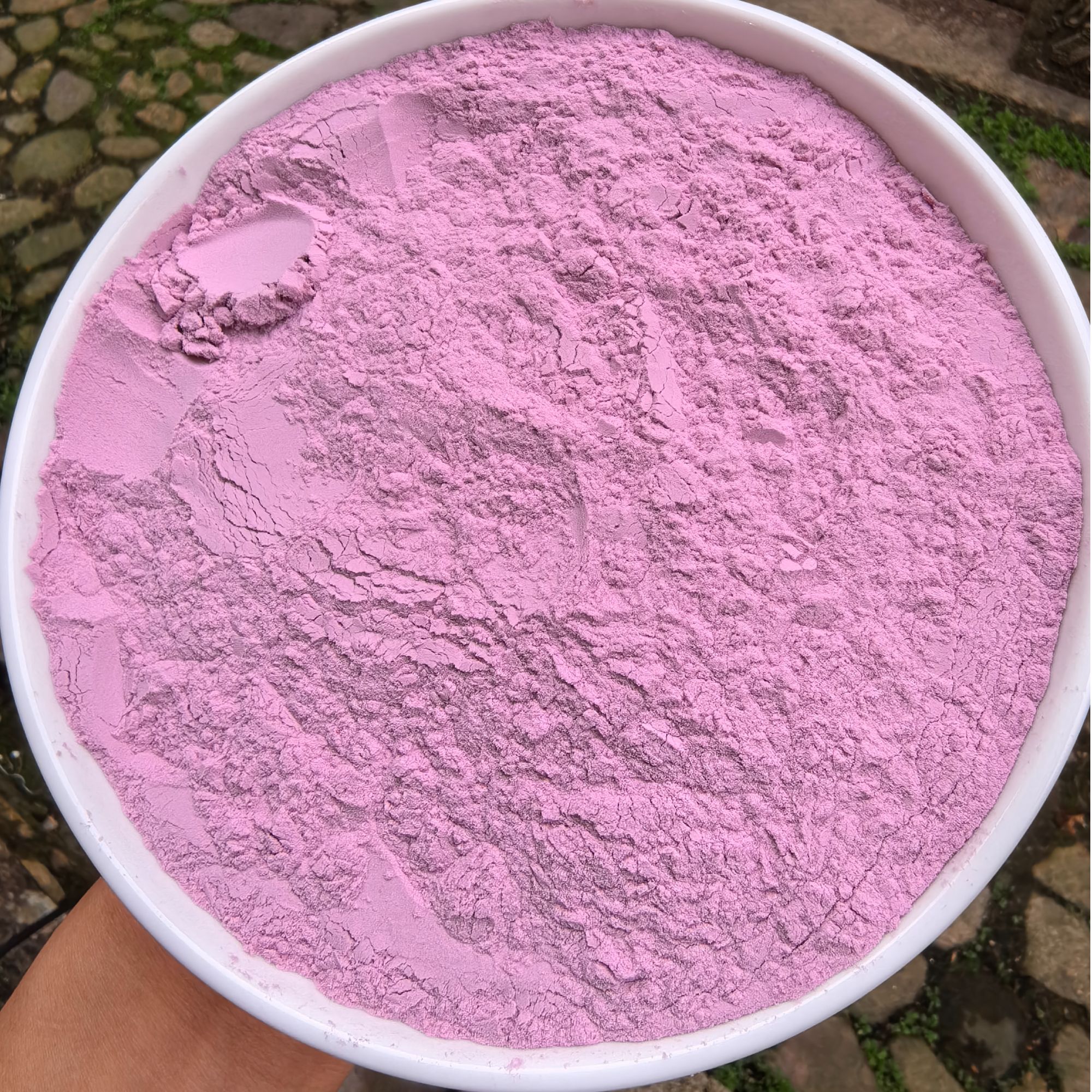 5月31【跑山娃甄选】诺丽果针叶樱桃酵素粉油脂大扫除