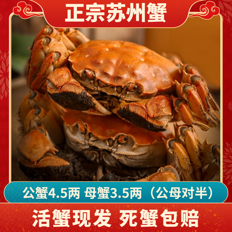 【活蟹公母对半】苏州湖水大闸蟹公蟹4.5两+母蟹3.5两8只